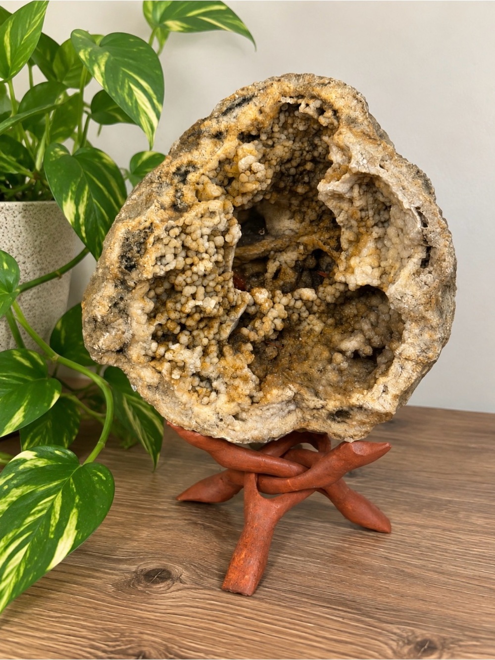 HUGE 9 lb Botryoidal Crystal Geode | Mineral Specimen